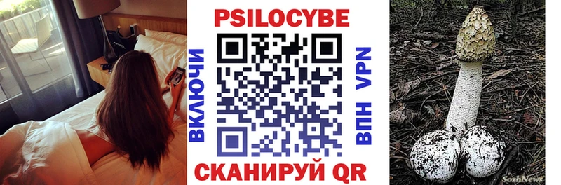 Псилоцибиновые грибы Psilocybine cubensis  Купить закладки  Кумертау 